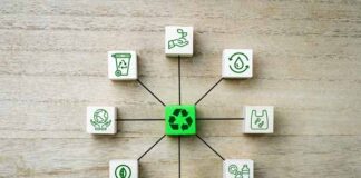 marketing sustentable