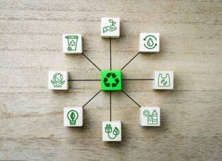 marketing sustentable