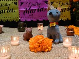 “Así sabe recordar”, la campaña con la que Doña María preserva la tradición del Día de Muertos Así sabe celebrar Doña María