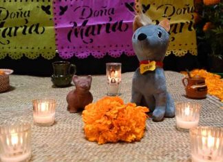 “Así sabe recordar”, la campaña con la que Doña María preserva la tradición del Día de Muertos Así sabe celebrar Doña María