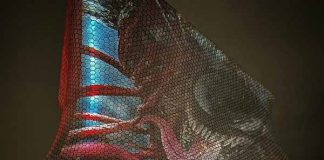 Carnage Liberado Museo Soumaya