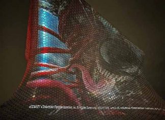 Carnage Liberado Museo Soumaya