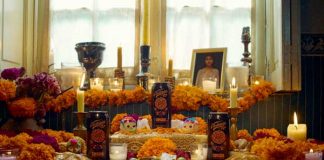 cerveza Victoria Cempasúchil