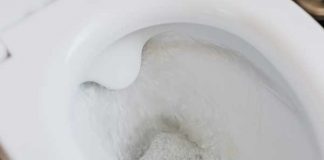 Harpic celebra Día Mundial del Retrete