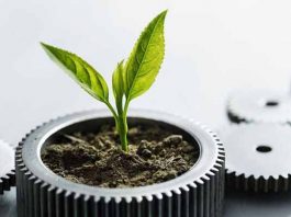 estrategias ESG en empresas