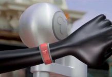 Así es como frog mejoró la experiencia de los visitantes en los parques de Disney frog mejora experiencia de Disney Parks