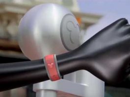 frog mejora experiencia de Disney Parks