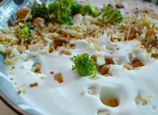 yoghurt es bueno para la diabetes