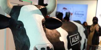 Ale-Hop llega a México