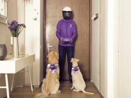 Laika recauda 48 mdd para invertir en su negocio de mascotas productos para mascotas Laika