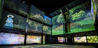 exposición Monet & Friends