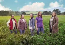 código QR en empaques Sabritas