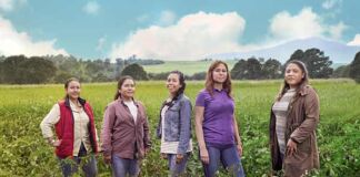 código QR en empaques Sabritas