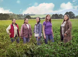 Sabritas implementa código QR en empaques para compartir historias del campo mexicano código QR en empaques Sabritas