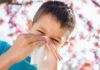 4 consejos para combatir las alergias estacionales cómo combatir alergias estacionales