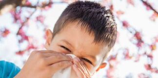 cómo combatir alergias estacionales