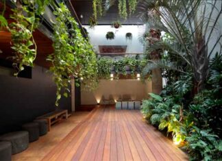 Levi's Haus of Strauss Ciudad de México