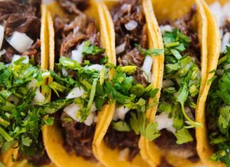 Desarrollan tecnología sustentable para evitar uso de insecticidas en cultivos de maíz gusano cogollero en cultivos de maíz