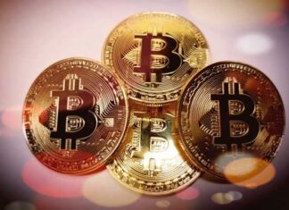 perspectiva sobre bitcoin y criptomonedas