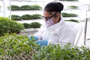 centro de investigación Tajín