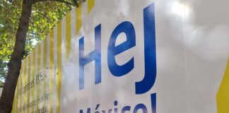 Ikea un año en México