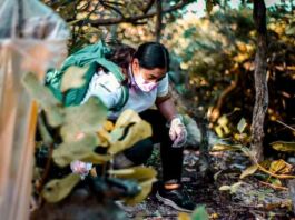 actividades de voluntariado Starbucks