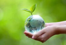 acciones para cuidar el planeta