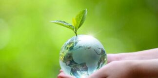 acciones para cuidar el planeta