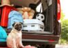 6 tips para salir a carretera en Semana Santa tips para salir a carretera