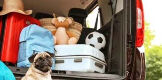 tips para salir a carretera