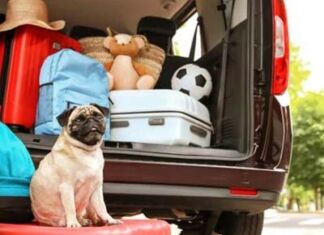 6 tips para salir a carretera en Semana Santa tips para salir a carretera