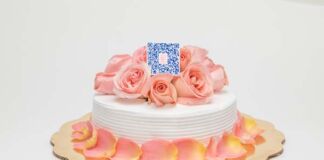 Sere-Nata Cake Grupo La Florida