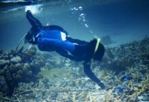 restauración de arrecifes de coral Mars