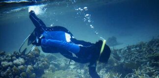 restauración de arrecifes de coral Mars