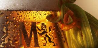 campaña Placer Conocerte Cerveza Modelo