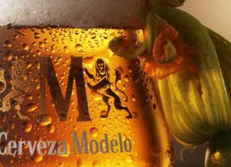 campaña Placer Conocerte Cerveza Modelo