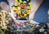 Emojis: 7 curiosidades de estos gráficos que cambiaron la forma de comunicarnos curiosidades de los emojis
