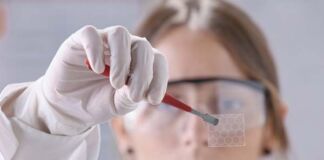 desarrollo de productos con nanotecnología