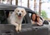 tips para viajar con perro