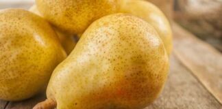 temporada de Peras Bartlett en México