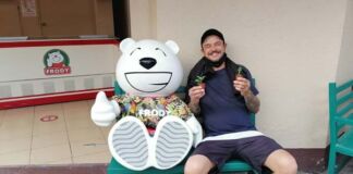 Frody regala plantas suculentas