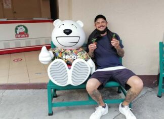 Frody regala plantas suculentas