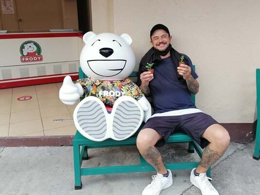 Frody regala plantas a sus clientes para incentivarlos a cuidar el medio ambiente Frody regala plantas suculentas