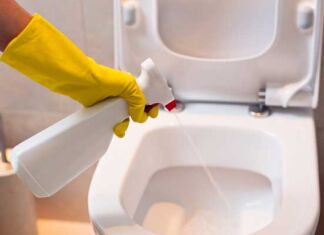 reglas mantener baño limpio