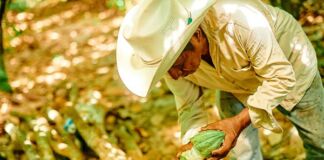 Mars impulsa la industria del chocolate