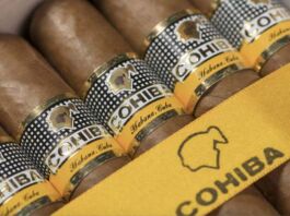 Habanos Day México 2022, la fiesta más esperada del mundo del tabaco premium Habanos Day México 2022
