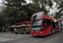 Turitaco, el nuevo turitour que te lleva a taquerías de la CDMX Turitaco Turibus