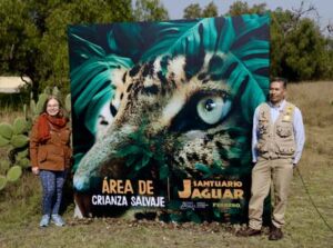 área de crianza salvaje para jaguares