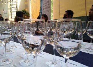 bebbia organiza cata de agua para mostrar la calidad de su purificador de agua alcalina cata de agua bebbia