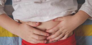 bacterias salud digestiva